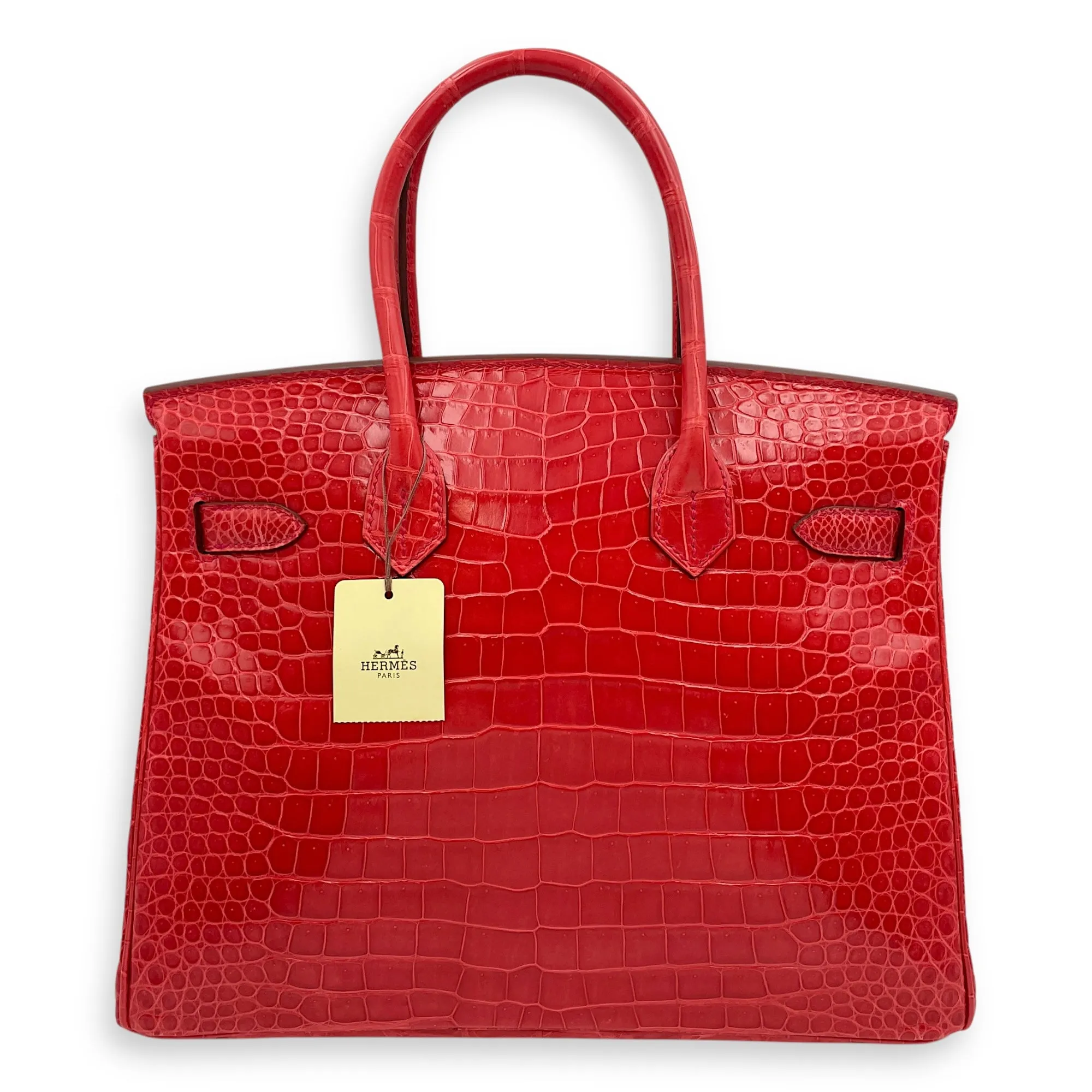 Birkin 30 Bougainvillier in Shiny Porosus, Palladium hardware
