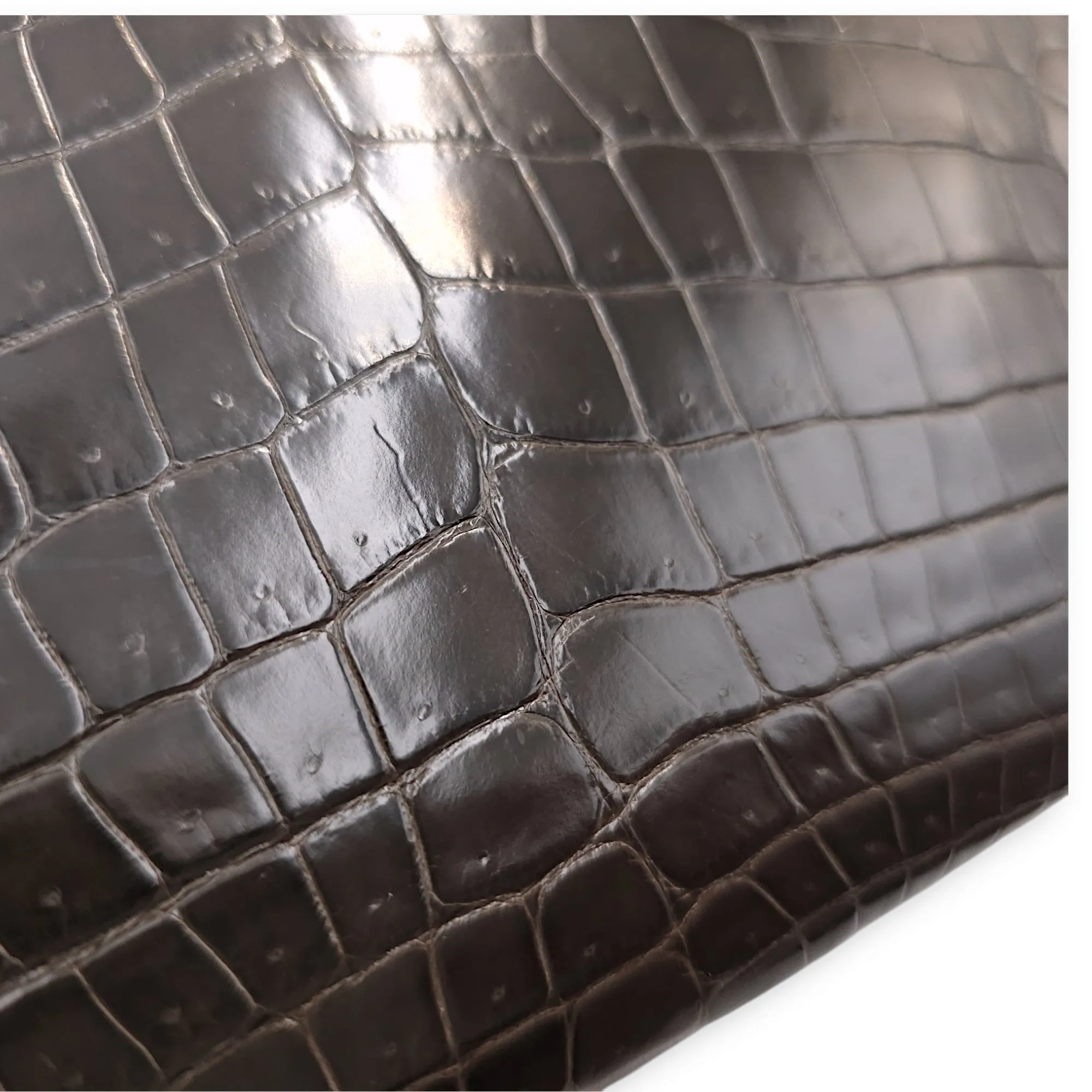Birkin 30 Graphite in Shiny Niloticus, Gold hardware