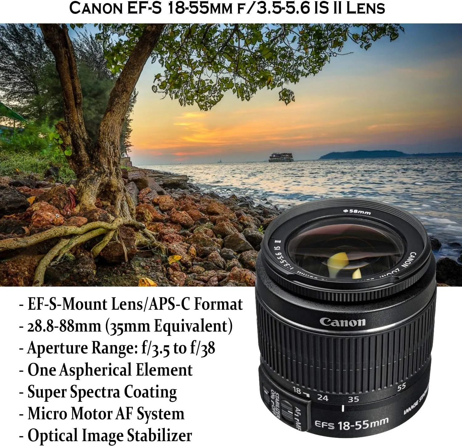 Canon EOS Rebel T7 DSLR Camera with 18-55mm is II Lens   Canon EF 75-300mm f/4-5.6 III Lens and 500mm Preset Lens   32GB Memory   Filters   Monopod   Professional Bundle (Renewed)