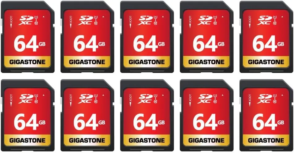 GIGASTONE 64GB 10-Pack SD Card UHS-I U1 Class 10 SDXC Memory Card High Speed Full HD Video Canon Nikon Sony Pentax Kodak Olympus Panasonic Digital Camera with 10 Mini Cases