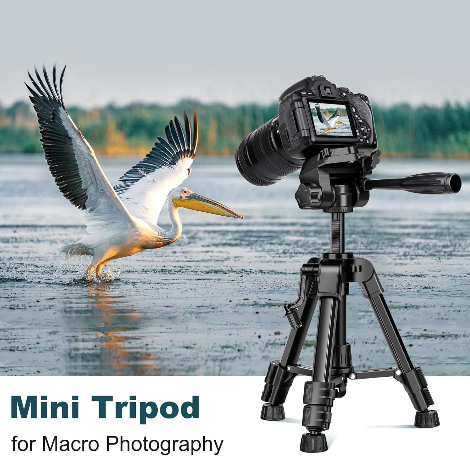 JOILCAN Mini Tripod for Camera, 25-inch Aluminum Tabletop Camera Tripods, Portable Travel Tripod with Tablet/Phone Holder for DSLR Cameras, Phone, Projector, Spotting Scope