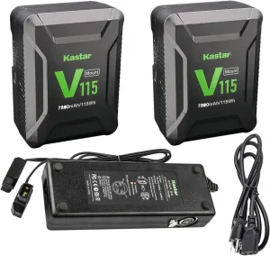 Kastar 2-Pack Battery and Dual D-Tap Charger Replacement for DSR-70 DSR-70A DSR-70AP (Portable Editing Recoder) BC-L100CE BKW-L601/2 BVP-5 BVP-50 BVP-550W BVP-7 BVP-70 BVP-90 BVP-BVV5 Camera