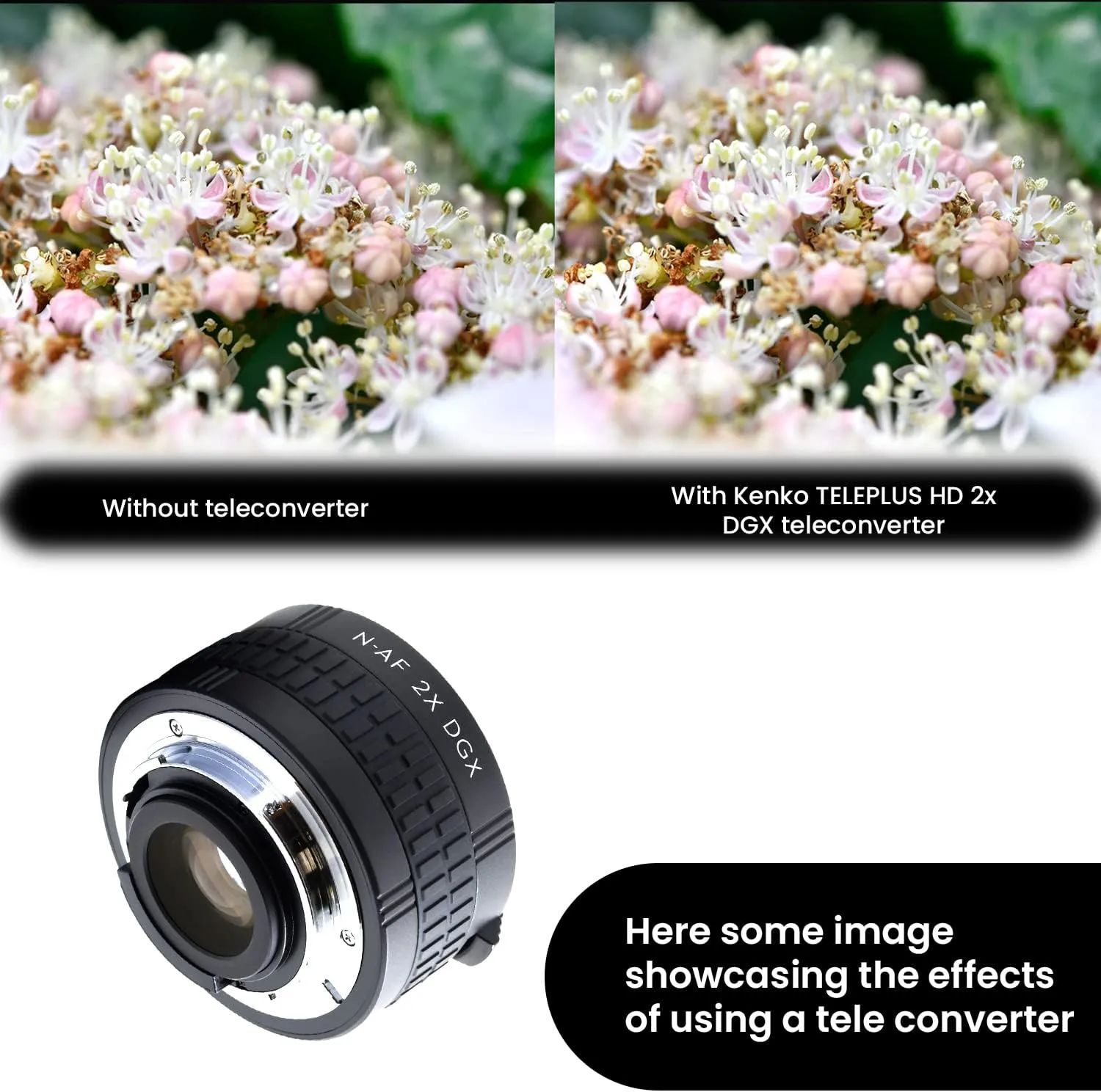 Kenko TELEPLUS HD 2.0X for Nikon F Autofocus Camera Mount, Black (K-TPHD2.0-N)