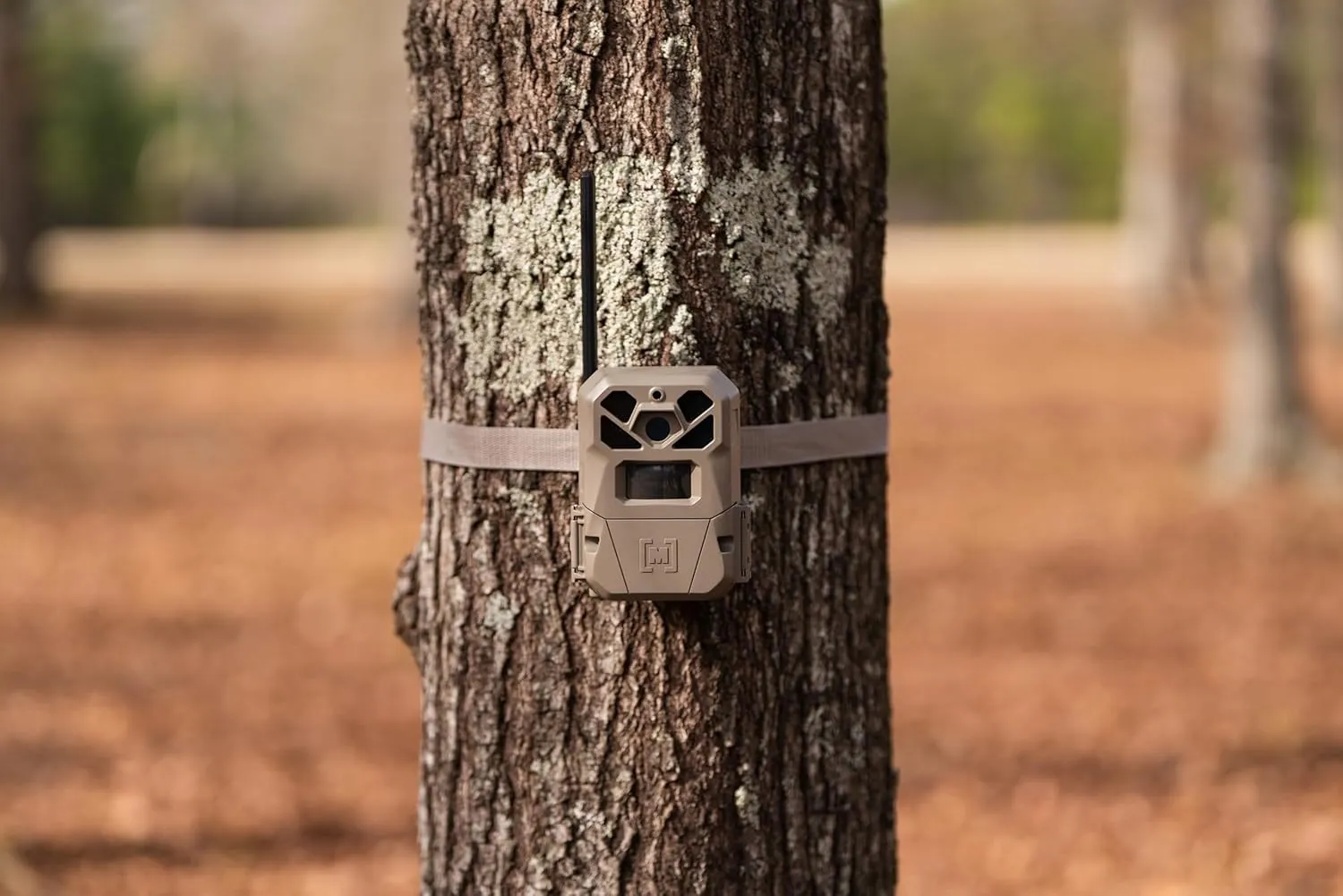Moultrie Edge 2 Pro Cellular Trail Camera - Auto Connect Nationwide 4G LTE - On Demand 40MP Photo - 1440P Video with HD Audio - Ai False Trigger Elimination - 100 Ft Detection Range - No-Glow Flash