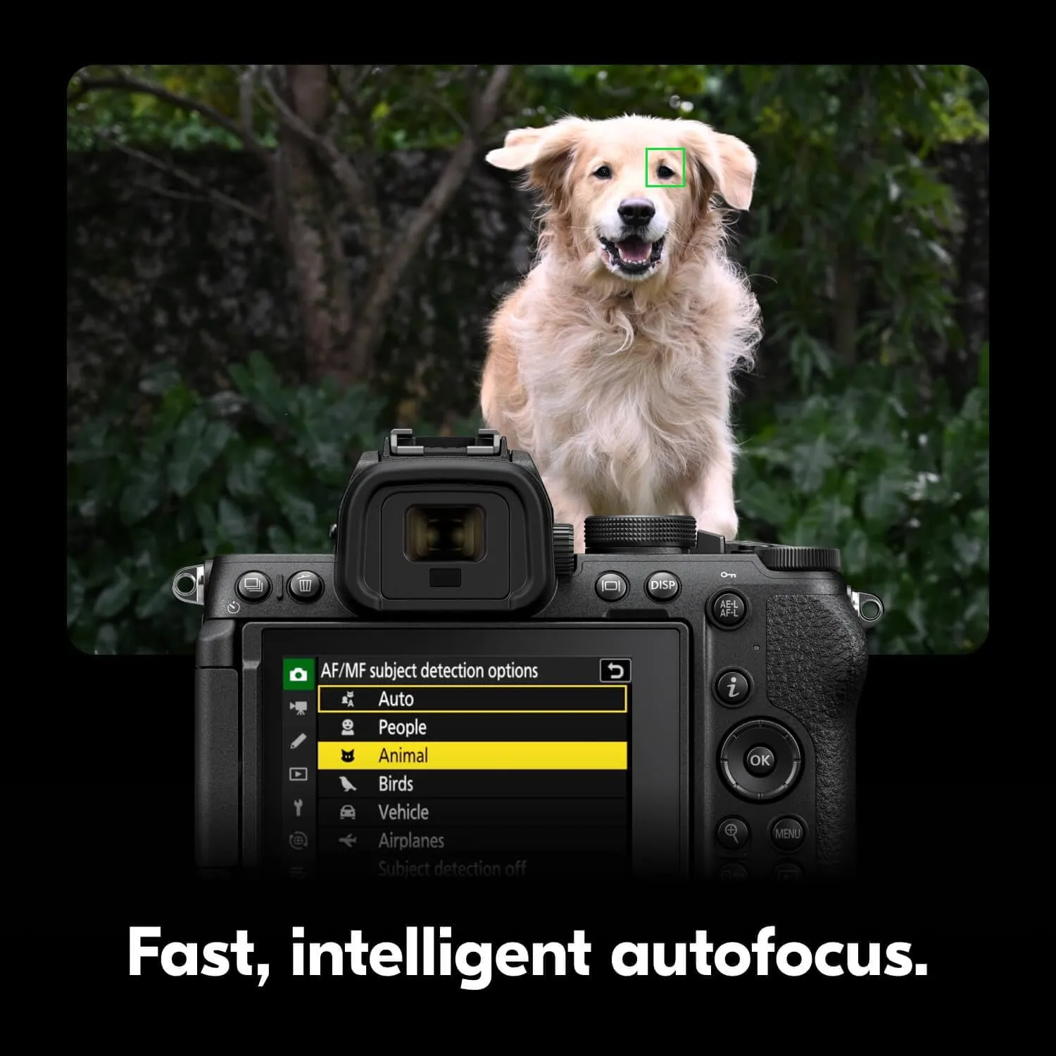 Nikon Z5 II with Wide-Angle Zoom Lens | Full-Frame mirrorless Stills/Video Camera with 24-50mm Zoom Lens | Nikon USA Model
