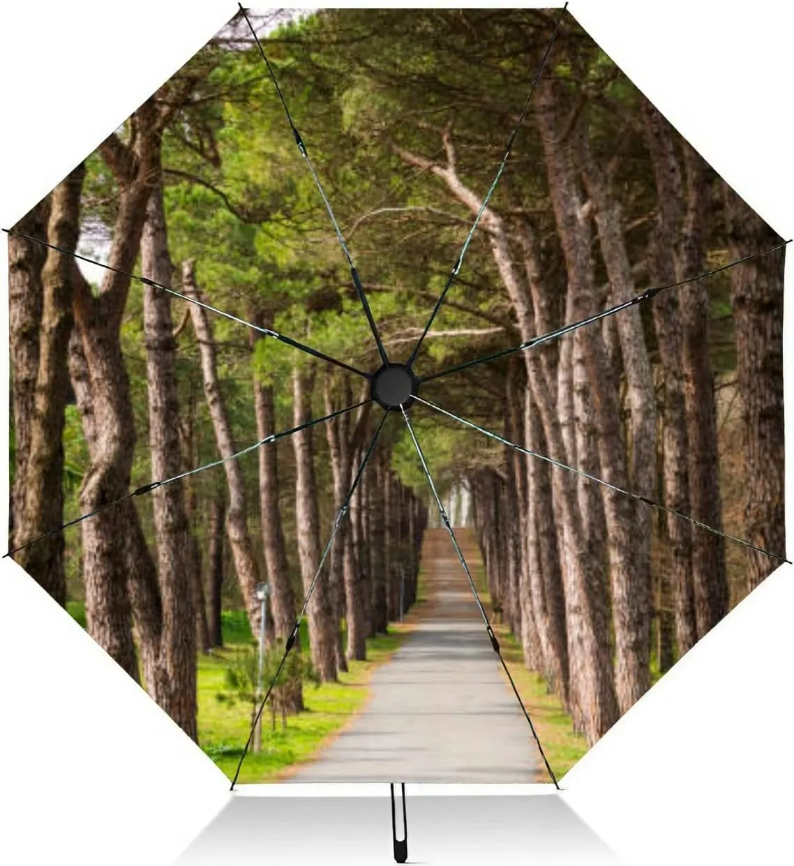 Travel Umbrella for Rain Windproof Scenic landscape sunset an two trees at summer evening Automatic Cute Portable Compact Umbrella for Women Purse Backpack Car Black Sun UV Protection