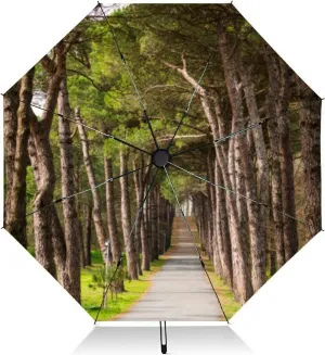 Travel Umbrella for Rain Windproof Scenic landscape sunset an two trees at summer evening Automatic Cute Portable Compact Umbrella for Women Purse Backpack Car Black Sun UV Protection