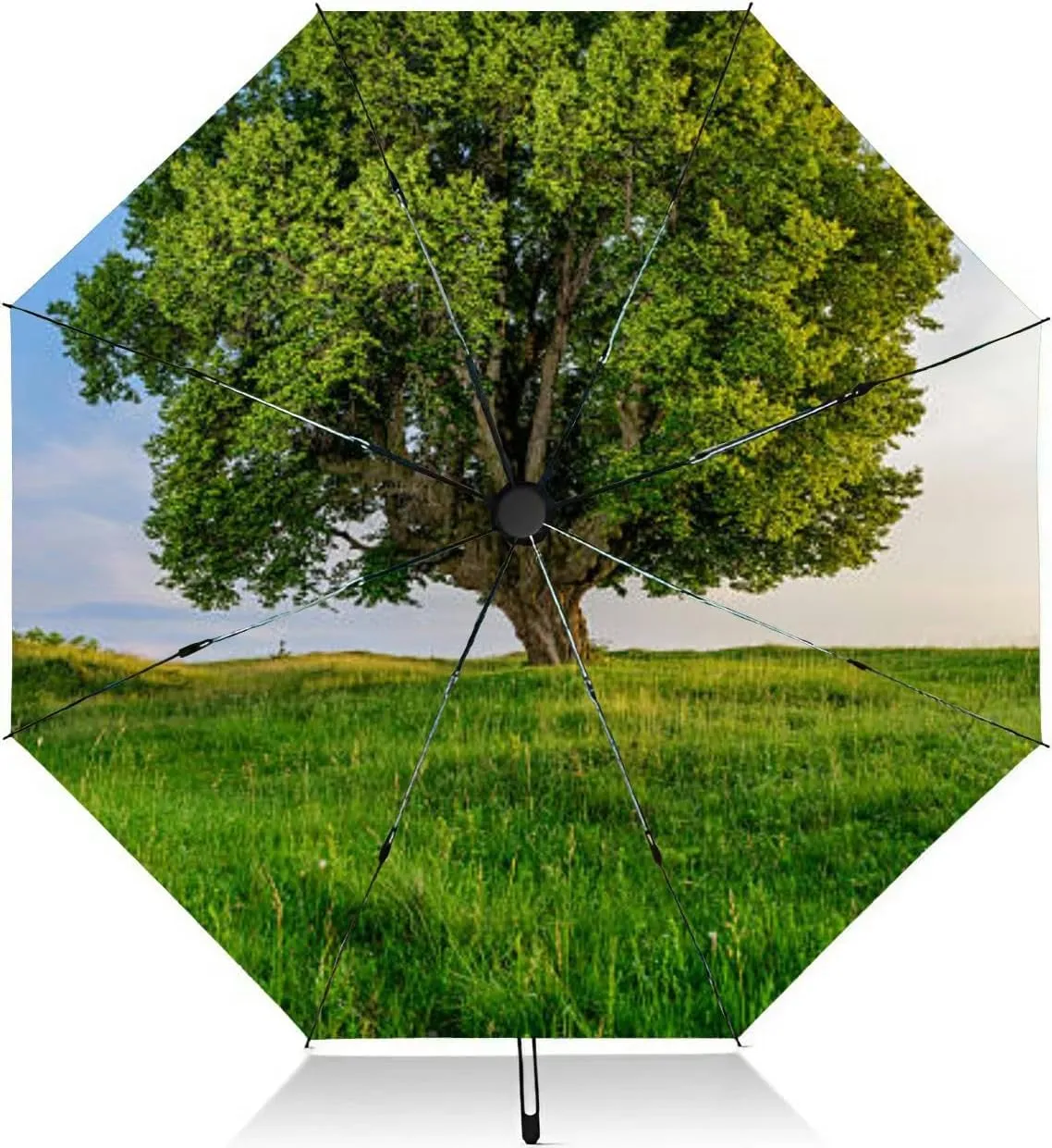 Travel Umbrella for Rain Windproof Scenic landscape sunset an two trees at summer evening Automatic Cute Portable Compact Umbrella for Women Purse Backpack Car Black Sun UV Protection