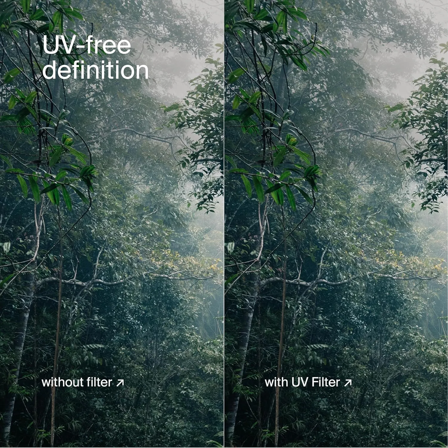 Urth 77mm UV Lens Filter - Ultra-Slim, Multi-Coated UV Camera Lens Protection