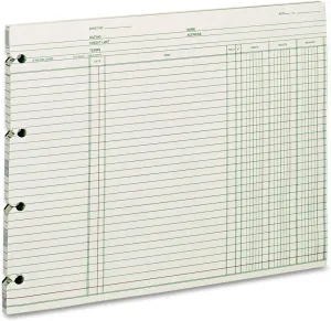 Wilson Jones Ledger Paper, Balance Ledger, 9-1/4" x 11-7/8", Green, 100 Sheets (GN2D)